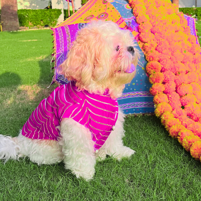 Pink Golden Sherwani