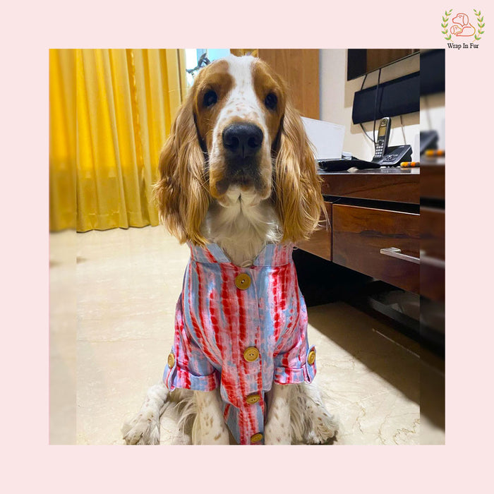 Pink & Grey Mirror Work Dog Kurta Set - Indian Dog Ethnic Wear