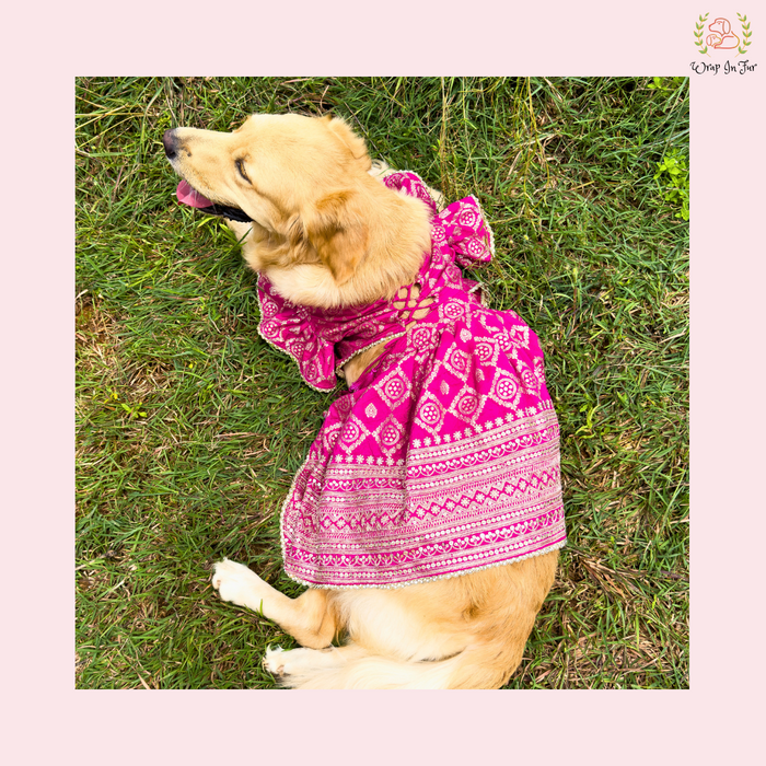 Pink Mastani Bridal Dog Lehenga – Premium Dog Wedding Dress