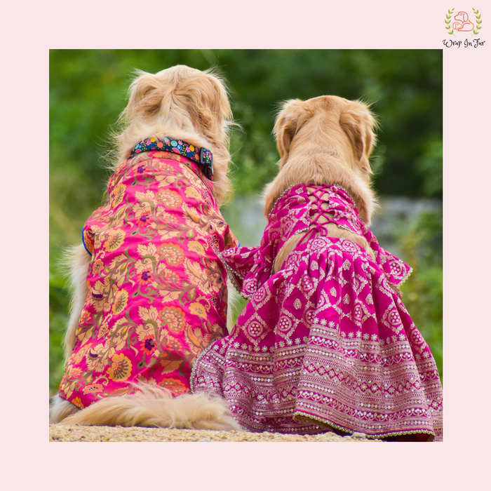 Pink Mastani Bridal Dog Lehenga – Premium Dog Wedding Dress