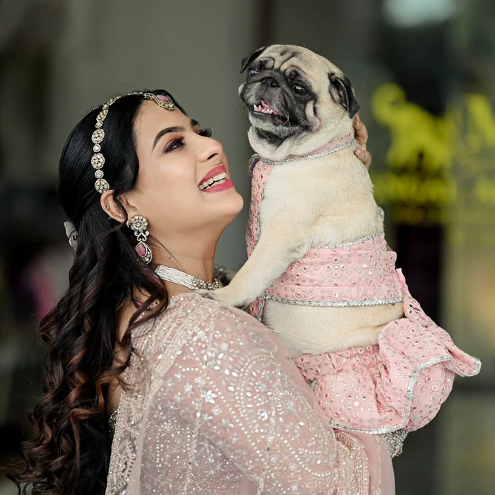 Pink Mirror Dog Lehenga