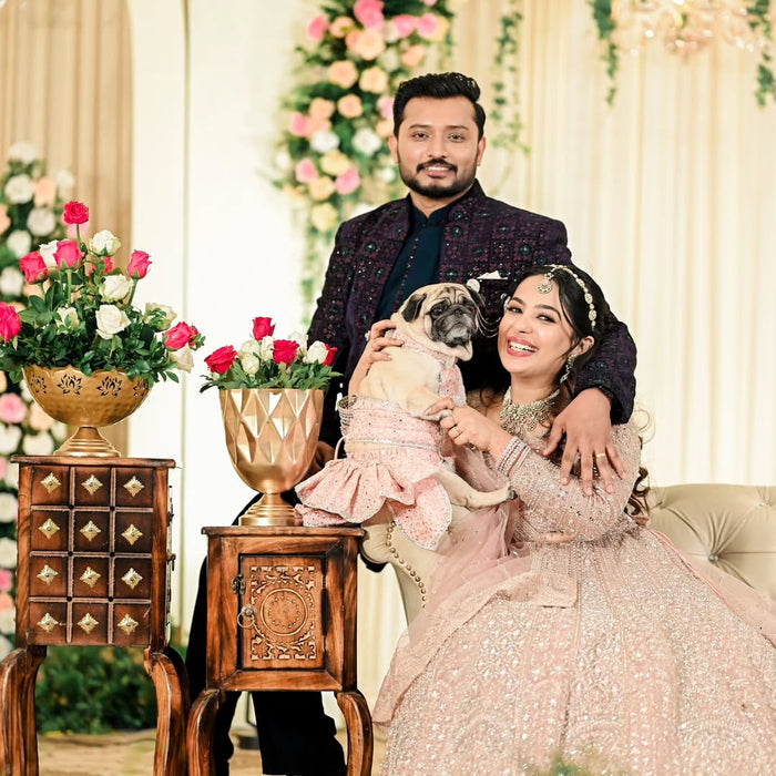 dog wedding outfit