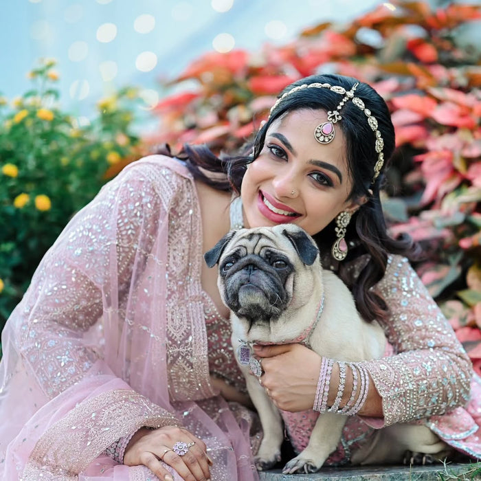 dog wedding costume