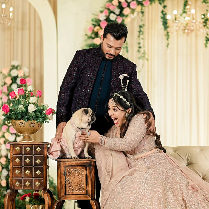 Pink Mirror Dog Lehenga