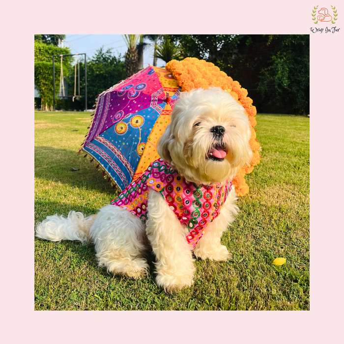 Pink Multicolor Jacket Dog sherwani