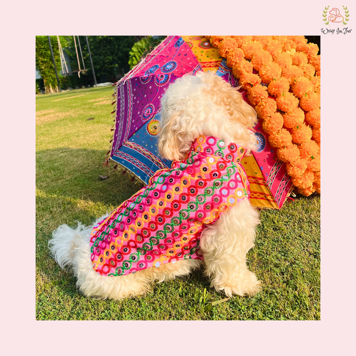 Pink Multicolor Jacket Dog sherwani