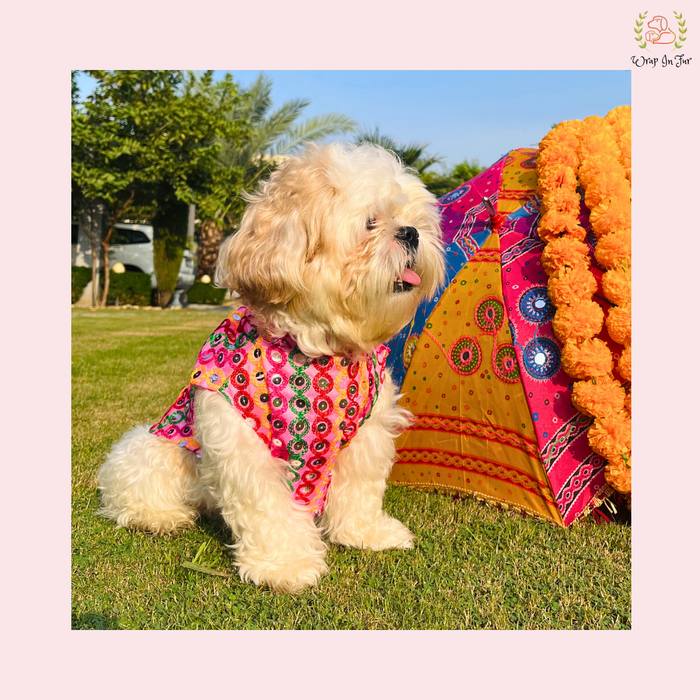 Pink Multicolor Jacket Dog Sherwani