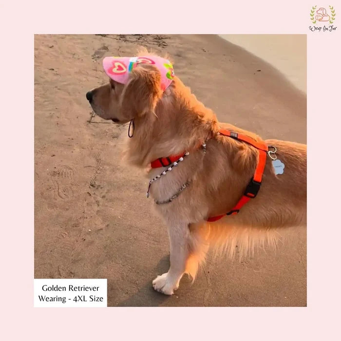 pink neon dog cap for beagle