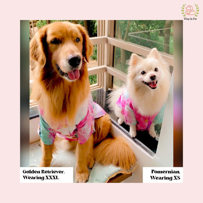 Pink Ombre Dog Kurta - Vibrant Tie-Dye Indian Dog Ethnic Wear