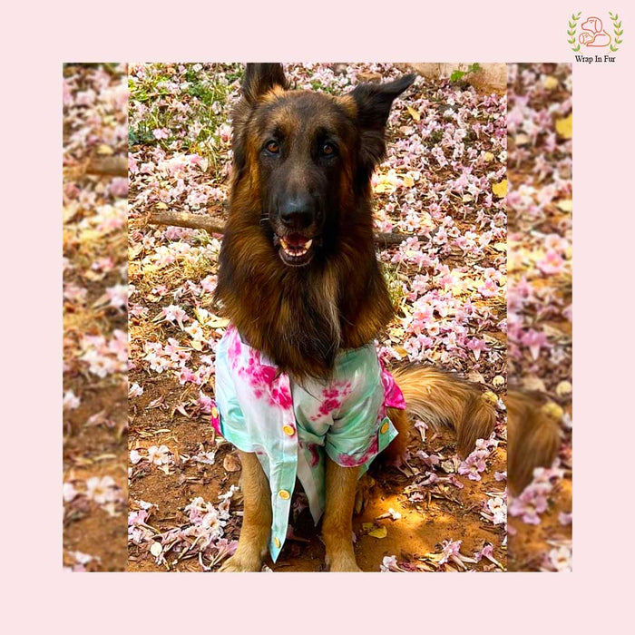 Pink Ombre Dog Kurta - Vibrant Tie-Dye Indian Dog Ethnic Wear