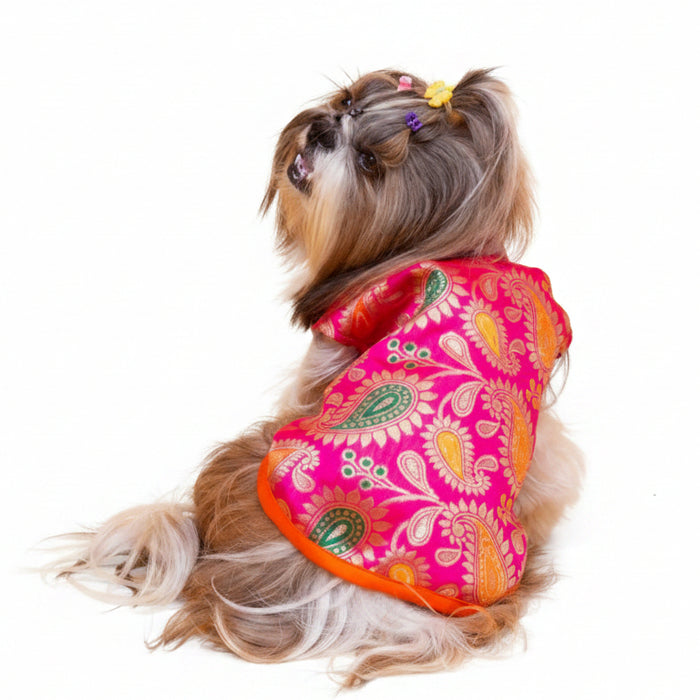 Pink Patakha Wedding Dog Sherwani – Premium Ethnic Wear for Weddings & Celebrations