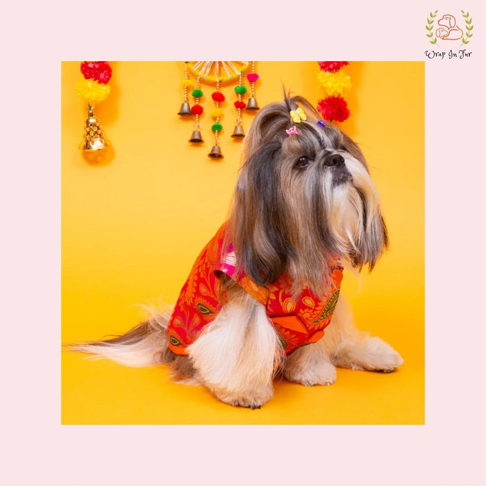 Pink Patakha Wedding Dog Sherwani – Premium Ethnic Wear for Weddings & Celebrations