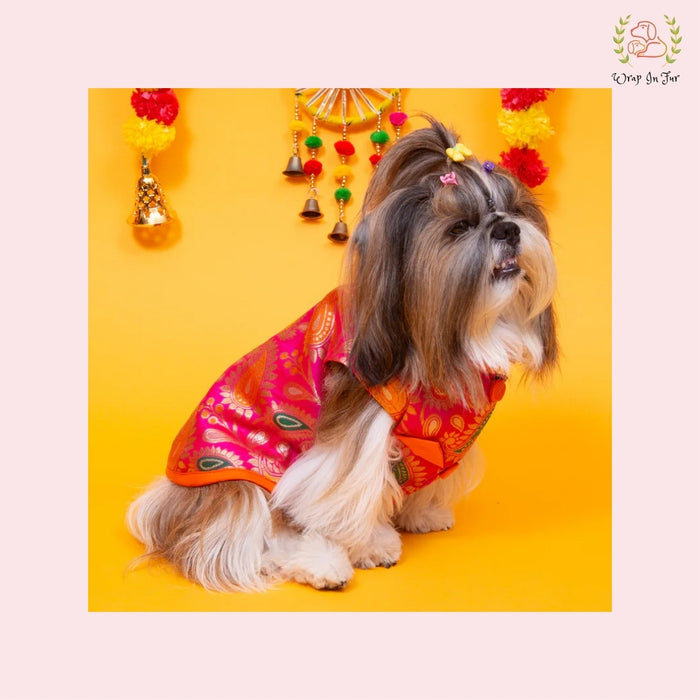 Pink Patakha Wedding Dog Sherwani – Premium Ethnic Wear for Weddings & Celebrations