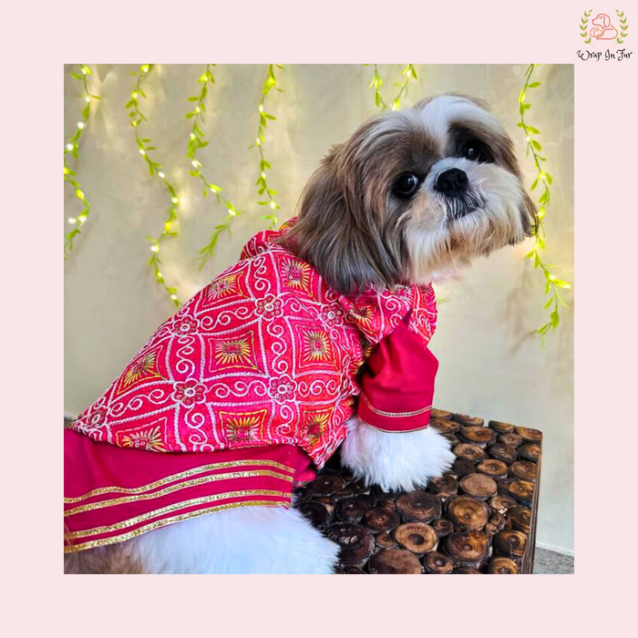 Pink Resham Gota Dog Kurta Jacket Set - Indian Dog Ethnic Wear Dress