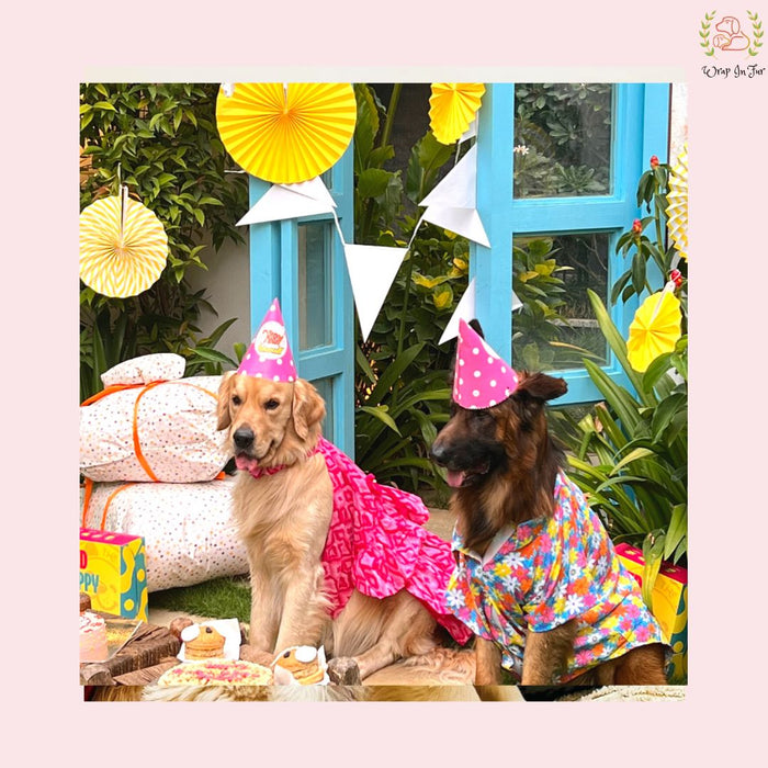 Pink Tiered Ruffle Dog Princess Dress - Festive Party Wear Frock
