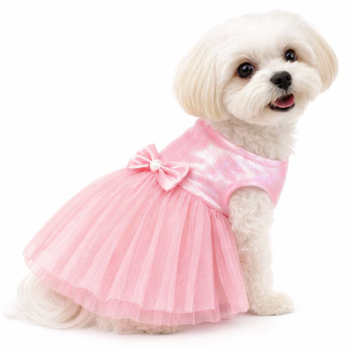 Valentine’s Day dog outfit