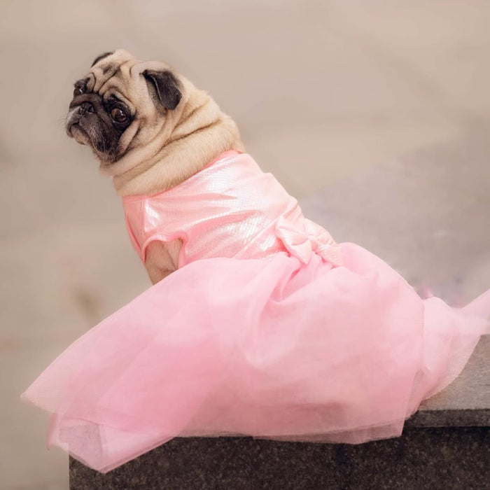 Pink Tutu Dog Frock & Parent Twinning Set