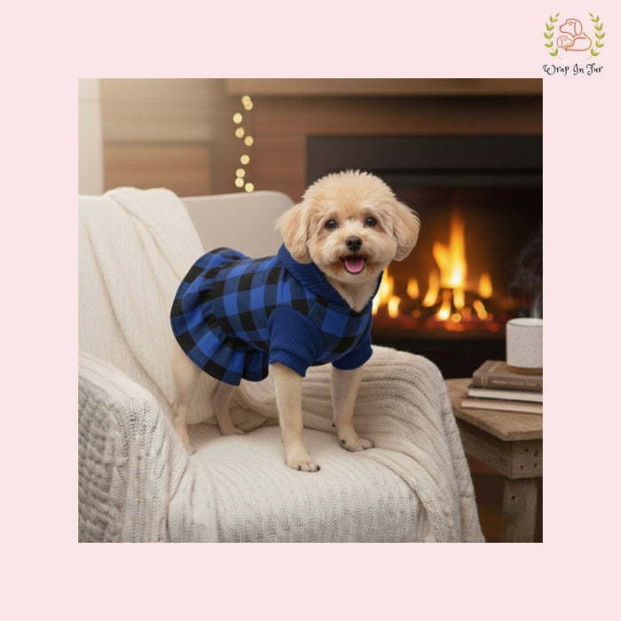 PlaidHood Dog Dress – Warm, Cute & Winter-Ready
