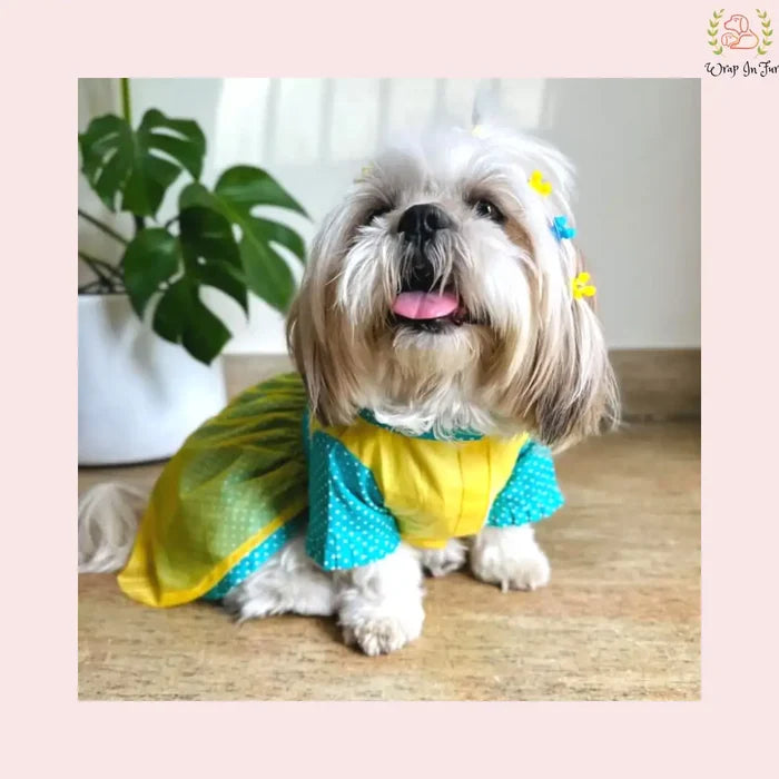 Dog Birthday dress