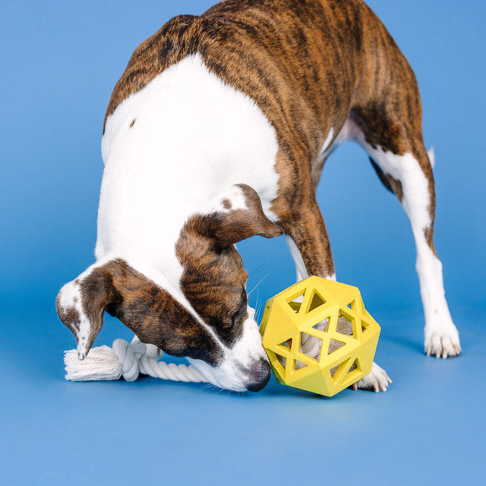 Pull My Way Rubber Dog Toy - Yellow