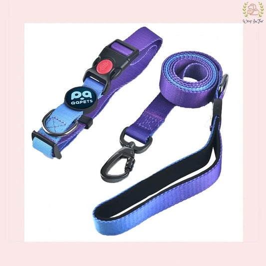 Purple Collar And Leash
