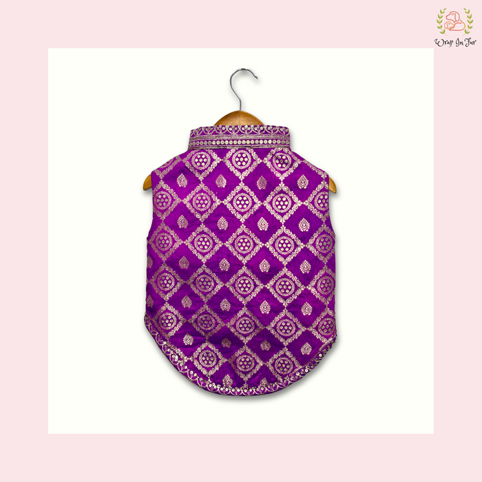 buy  Embroidered Dog Sherwani
