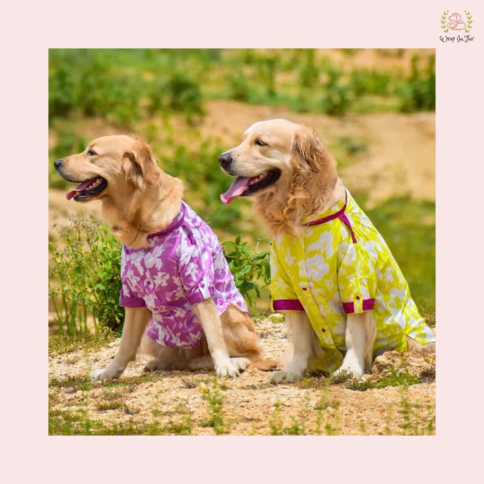 Purple Floral Pathani Dog Kurta - Premium Indian Dog Ethnic Wear