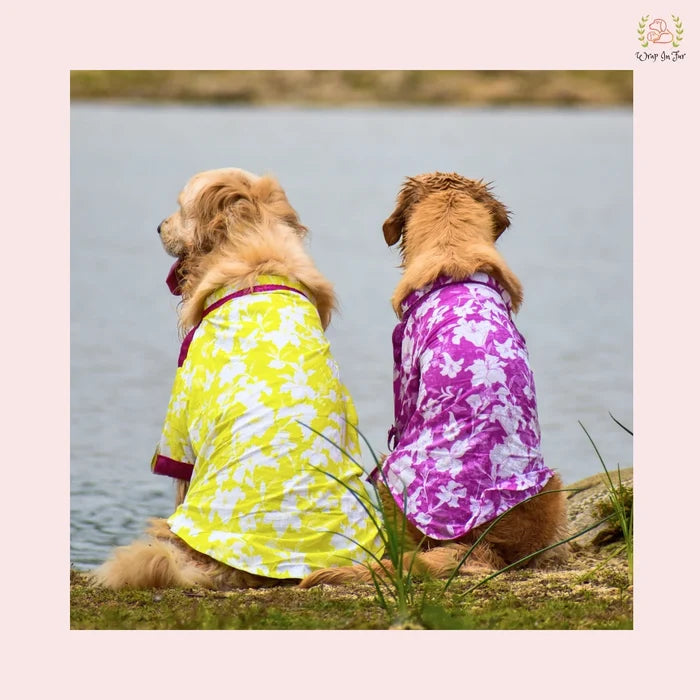 Purple Floral Pathani Dog Kurta - Premium Indian Dog Ethnic Wear
