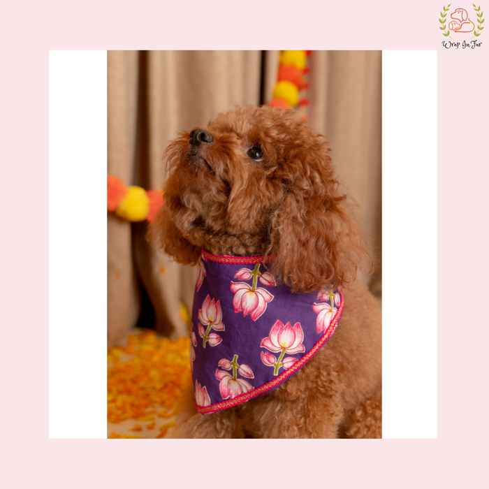 Purple Lotus Desi Dog Bandana