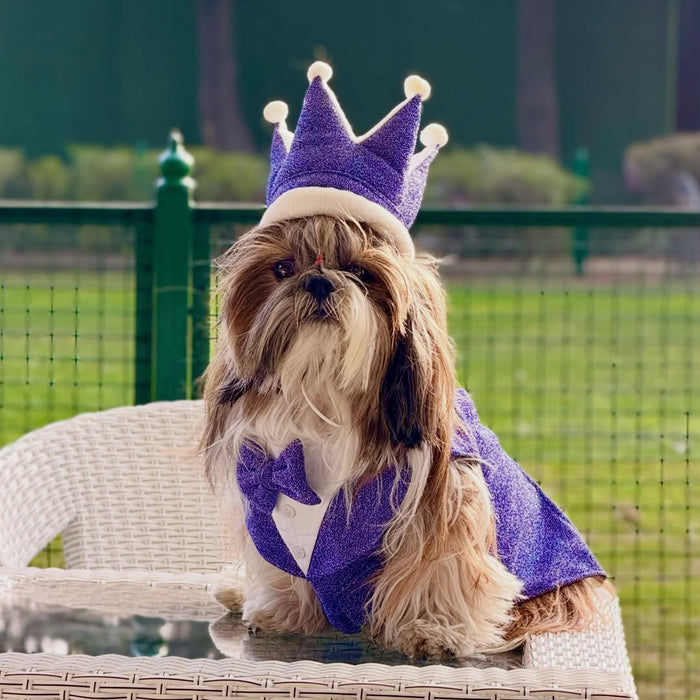 Purple Shimmer Dog Tuxedo