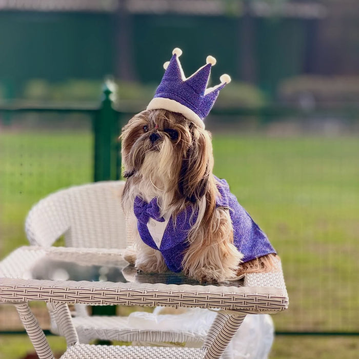 Purple Shimmer Dog Tuxedo