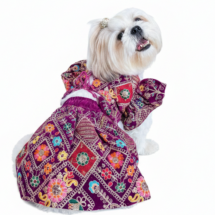 Purple Velvet Dog Bridal Dress – Designer Dog Wedding Outfit