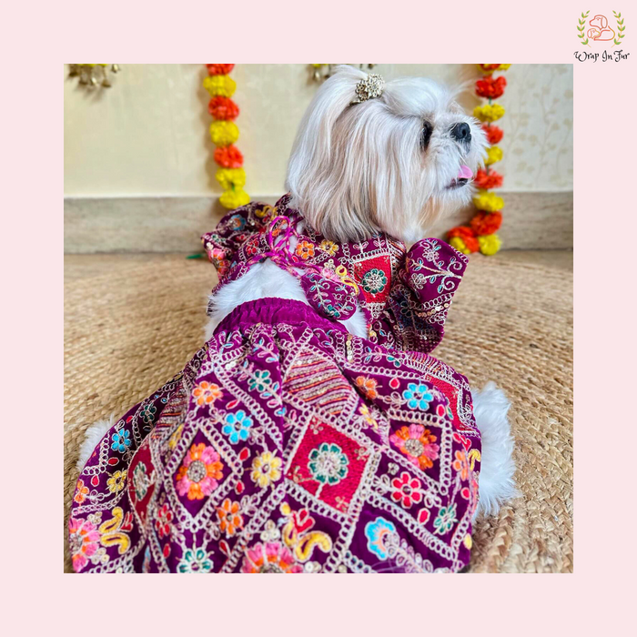 Purple Velvet Dog Bridal Dress – Designer Dog Wedding Outfit