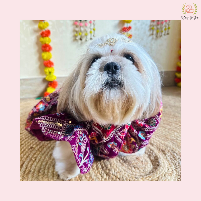 Purple Velvet Dog Bridal Dress – Designer Dog Wedding Outfit