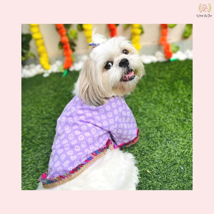 Purple & White Block Print Dog Angarkha Kurta - Indian Dog Ethnic Wear