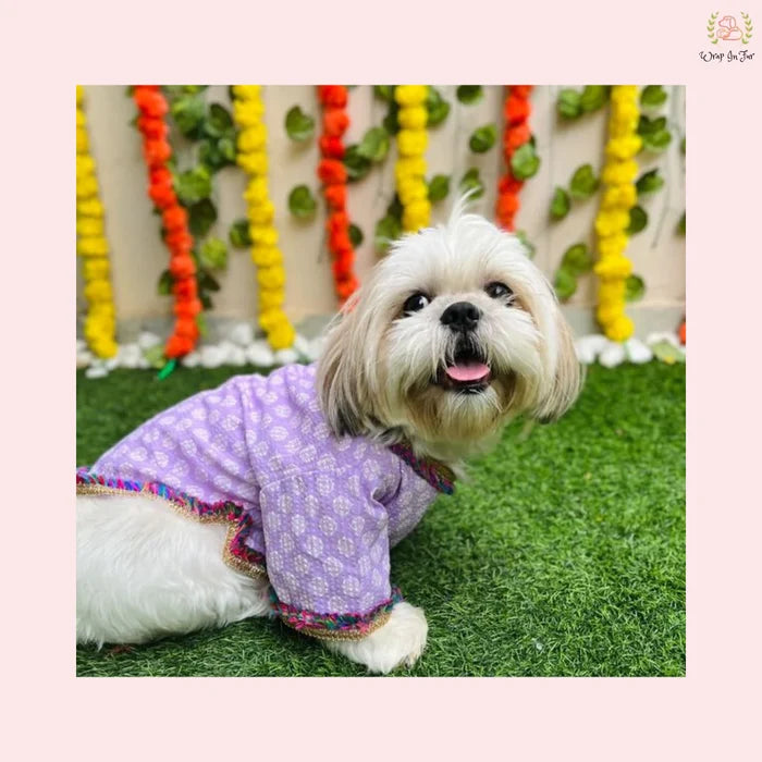 Purple & White Block Print Dog Angarkha Kurta - Indian Dog Ethnic Wear
