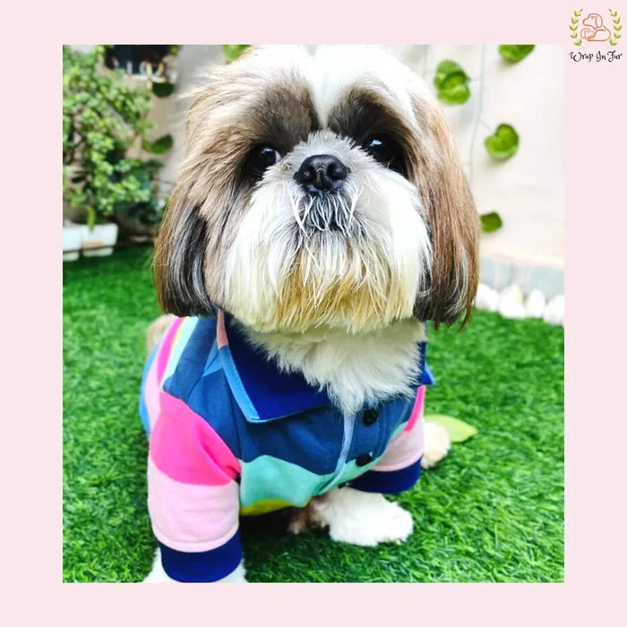 small dog shih tzu dress