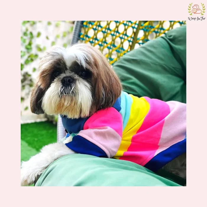 Tshirt  shih tzu dress outfit