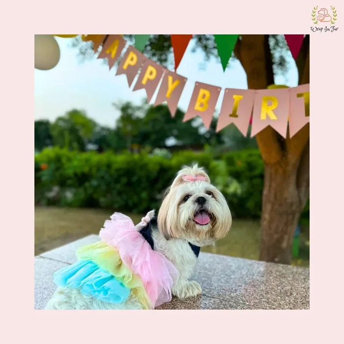 Rainbow Princess Dog Wedding Dress – Pastel Bridal Gown