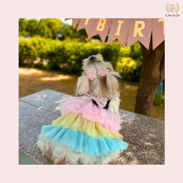 Rainbow Princess Dog Wedding Dress – Pastel Bridal Gown