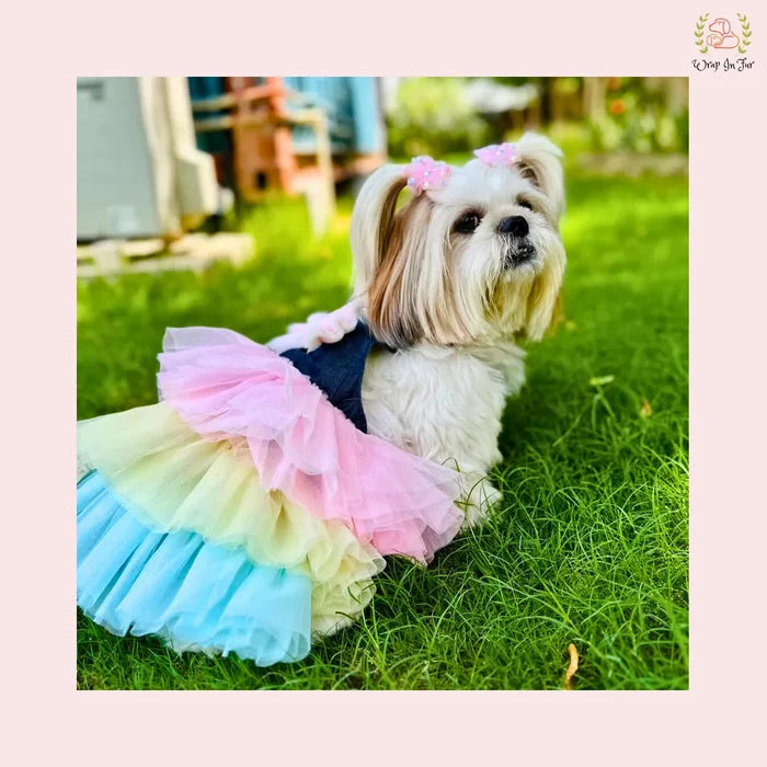 Rainbow Princess Dog Wedding Dress – Pastel Bridal Gown