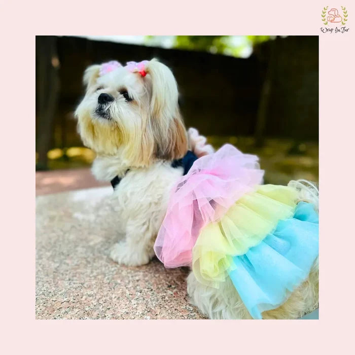 Rainbow Princess Dog Wedding Dress – Pastel Bridal Gown