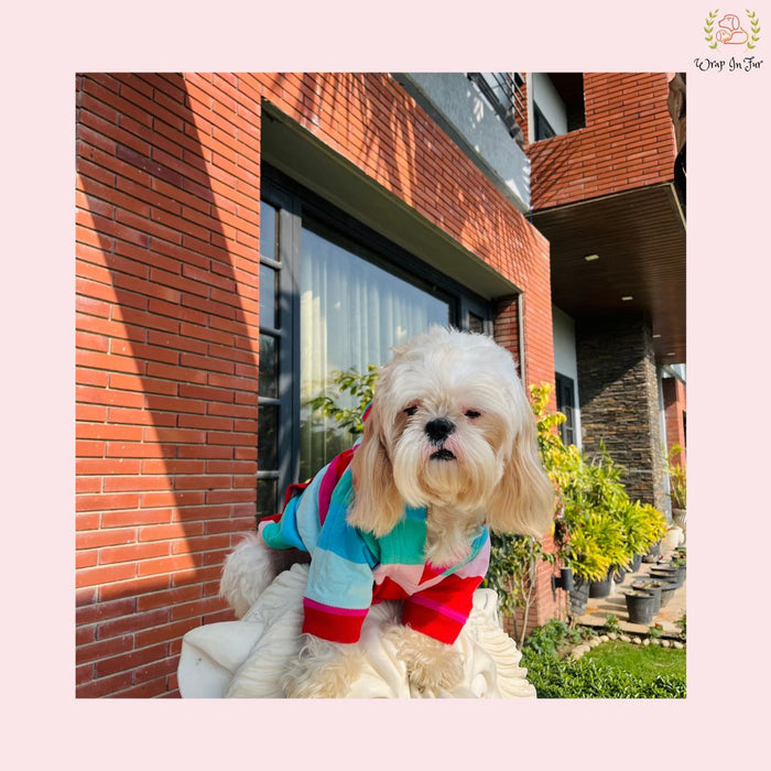 Rainbow Striped Dog Hoodie – Colorful & Cozy Winter Wear