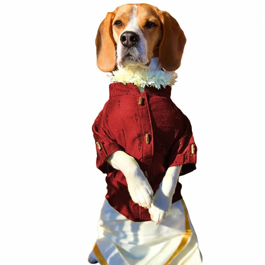Emerald Raw Silk Dog Kurta - Premium Indian Dog Ethnic Wear