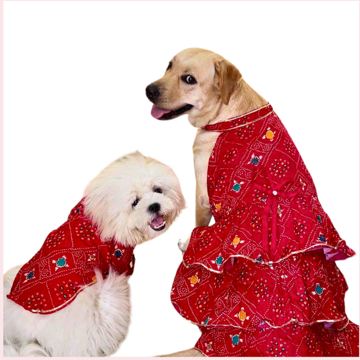 Red Bandhini Dog Kurta - Traditional Indian Dog Ethnic Wear