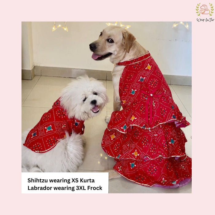 Red Bandhini Dog Kurta - Traditional Indian Dog Ethnic Wear