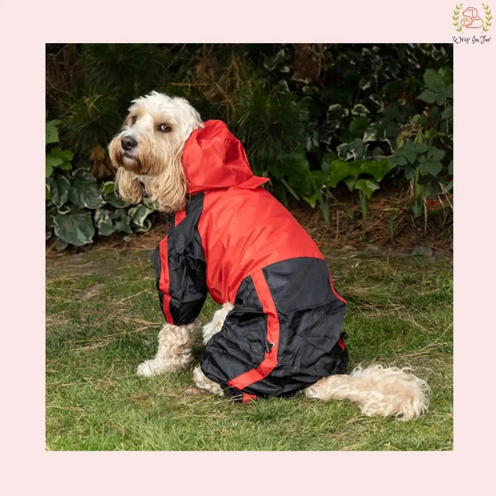 Red Black Dog Raincoat