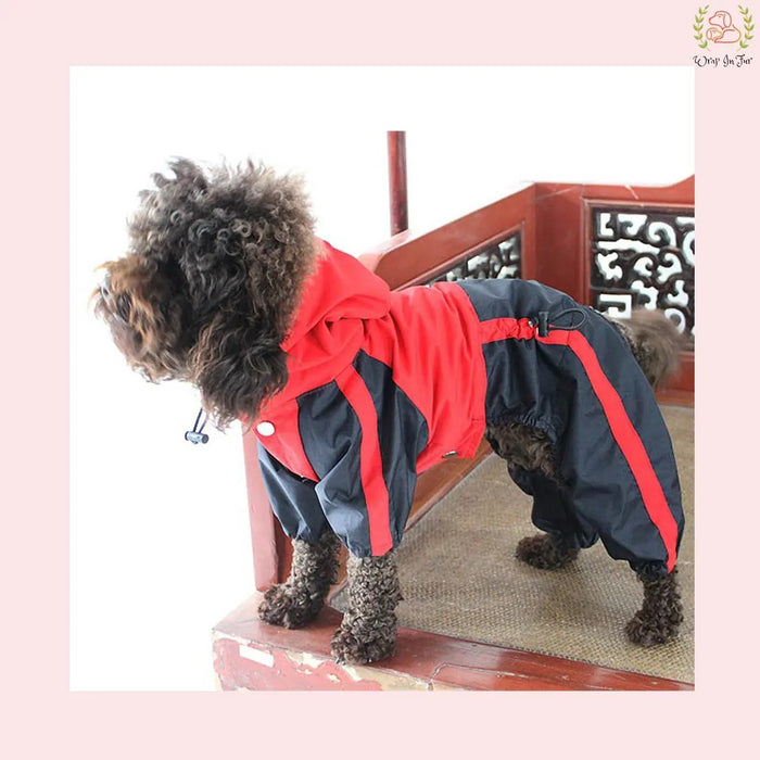 Red Black Dog Raincoat