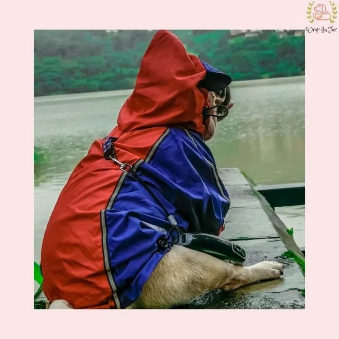 Red Blue Shirt Style Raincoat