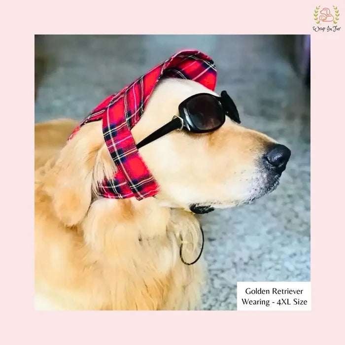 red check cap for golden retriever